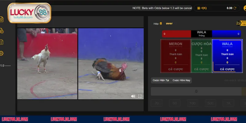 Quy trình để tham gia cá cược tại chuyên mục đá gà của nhà cái